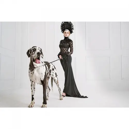 By Kohler Uniek en handgemaakt  Fashion Jonge Vrouw & Grote Hond 180x120x2cm (109017)