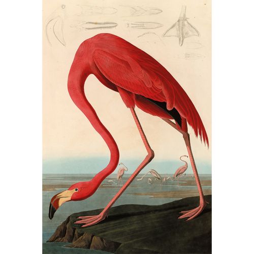By Kohler Uniek en handgemaakt  Amerikaanse rode flamingo 80x120x2cm (108714)