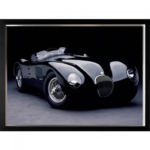 By Kohler Uniek en handgemaakt  1951 Jaguar C-Type 120x90x3cm (102629)