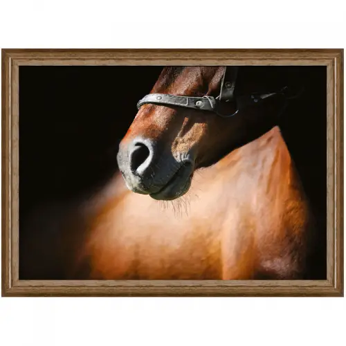 By Kohler Uniek en handgemaakt  Bruin paard 3 80x60x3cm (105175)