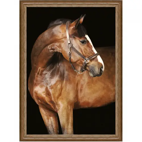By Kohler Uniek en handgemaakt  Bruin paard 1 60x80x3cm (105173)