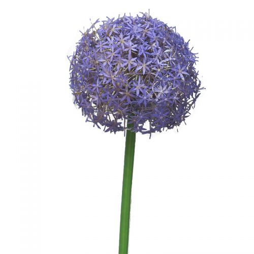 By Kohler Uniek en handgemaakt  Allium Quin 19x10x10cm (110503)