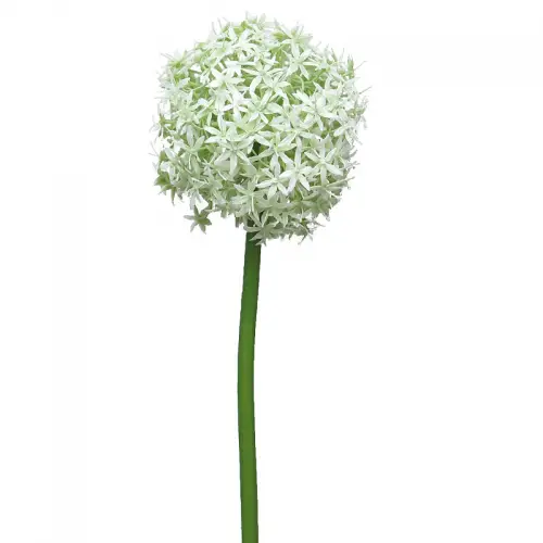 By Kohler Uniek en handgemaakt  Allium Quin 14x10x10cm (110500)