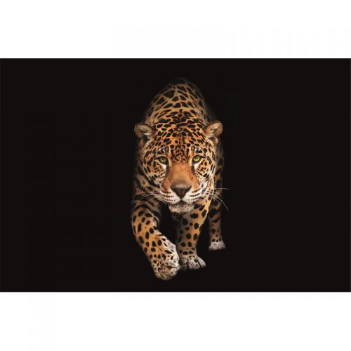 By Kohler Uniek en handgemaakt  Gevlekte wilde kat - Panter 300x200x2cm mat (113483)