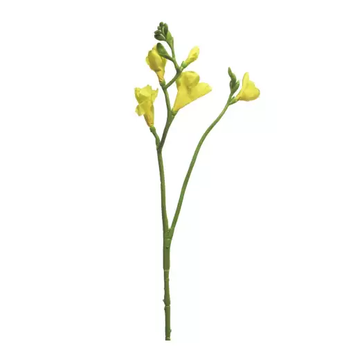 By Kohler Uniek en handgemaakt  Freesia floramunda geel 65cm (200988)