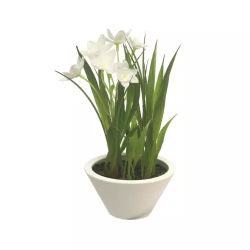 By Kohler Uniek en handgemaakt  Narcis met witte pot creme 18cm (200992)