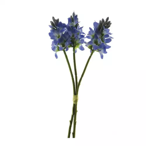 By Kohler Uniek en handgemaakt  Hyacinten bundel x3 blauw 30cm (201008)