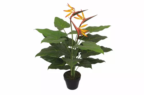 By Kohler Uniek en handgemaakt  Birgs of Paradise 75cm (201527)