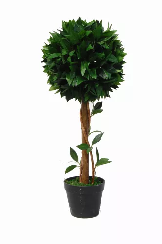 By Kohler Uniek en handgemaakt  Bay Tree 70cm (201535)