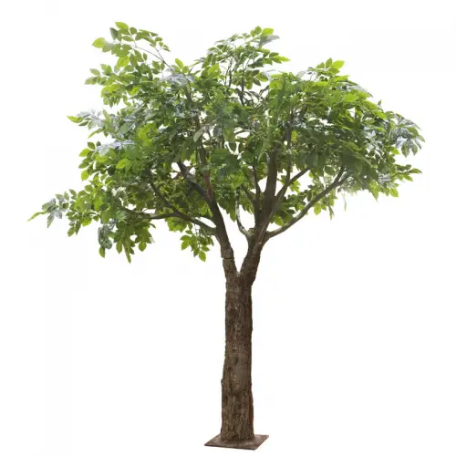 By Kohler Uniek en handgemaakt  Reuze Ficusboom groen 160x160x230cm (114881)